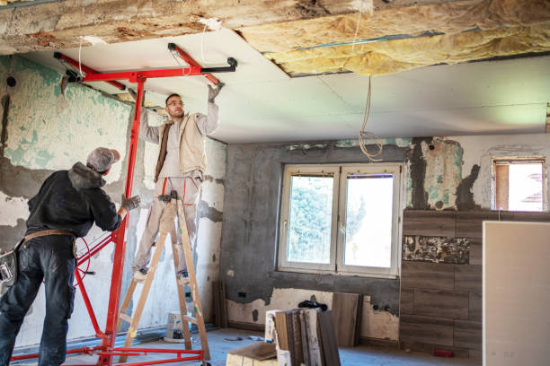 Best Insulation Maintenance and Repair in Sevierville, TN