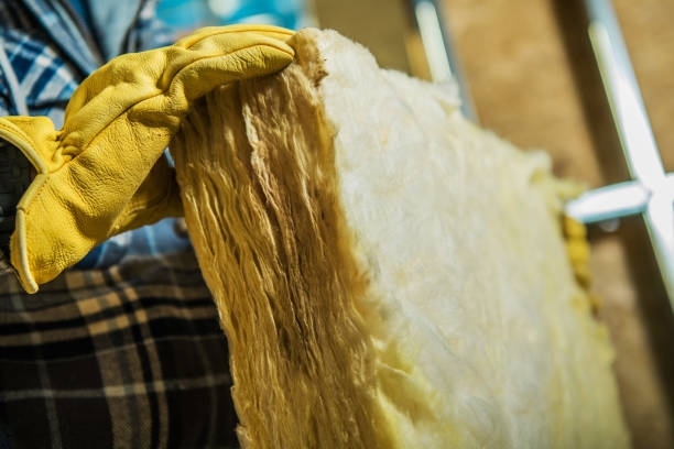 Best Specialty Insulation in Sevierville, TN