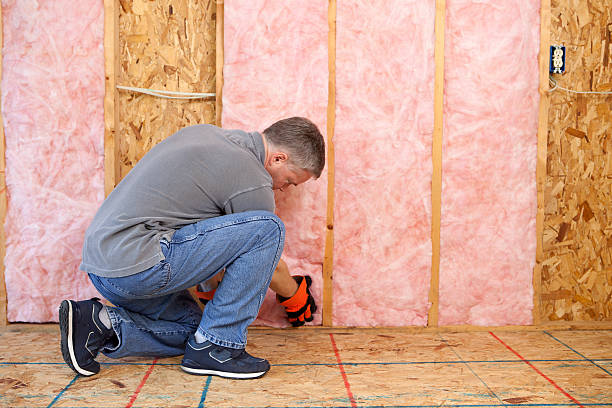 Best Insulation Installation Services in Sevierville, TN